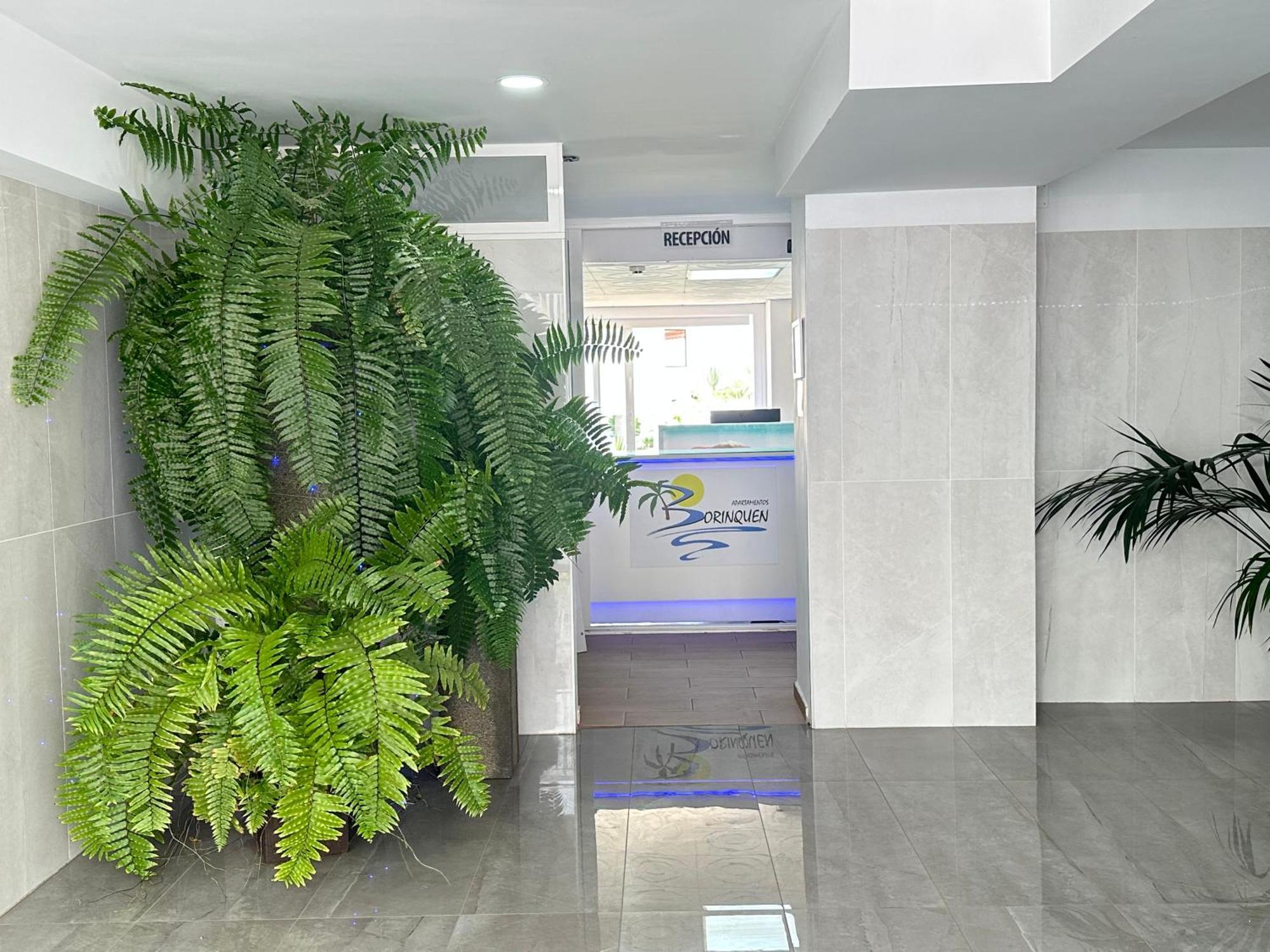 Apartamentos Borinquen Плайя-де-лас-Амерікас Екстер'єр фото